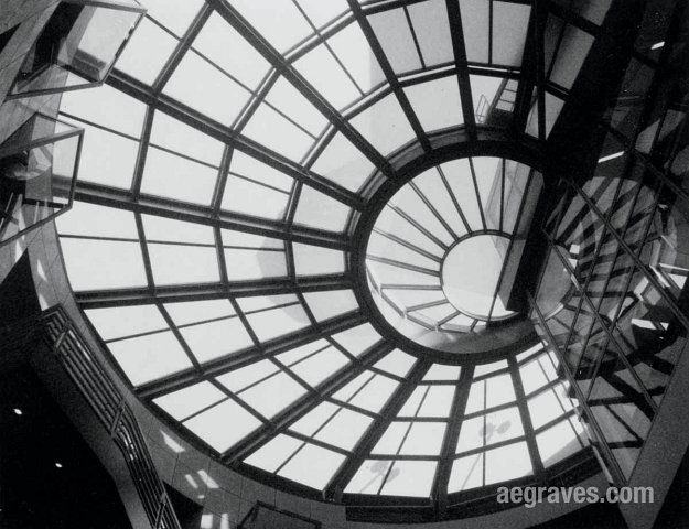 Image of the San Francisco Main Library ceiling, photograph by A.E. Graves
