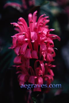 20020905_ucbbot1_10.jpg