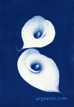 cyanotype, alternative process print by A.E. Graves