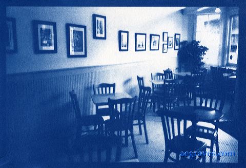 cyanotype, alternative process print by A.E. Graves