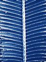 aegfoliagew008
