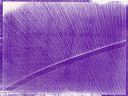 thumbnail of gum bichromate alternative process print by A.E. Graves6