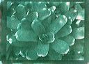 thumbnail of gum bichromate alternative process print by A.E. Graves