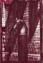 thumbnail of gum bichromate alternative process print by A.E. Graves