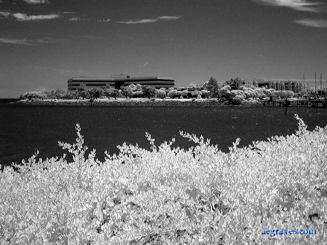 l1200673bw.jpg