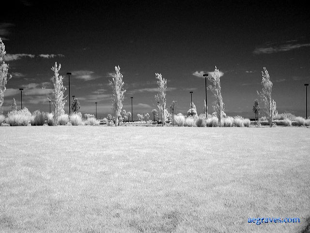 l1200723bw.jpg