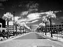 l1200688bw