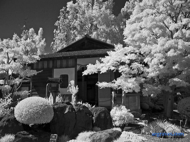 l1200898bw.jpg