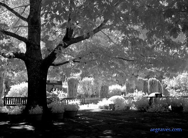 l1210059bw.jpg