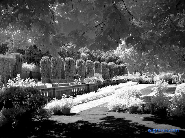 l1210064bw.jpg