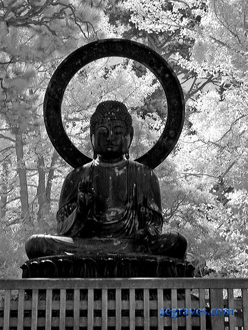 l1210614bw.jpg