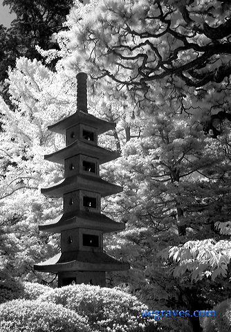 l1210622bw.jpg
