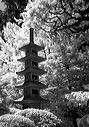 monochrome image of a stone pagoda and bright foliage