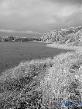 l1010675desat.jpg