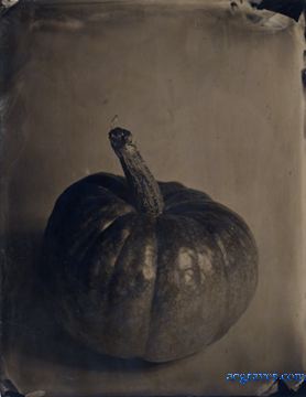 black glass ambrotype by A.E. Graves of pumpkin