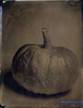 black glass ambrotype by A.E. Graves of pumpkin