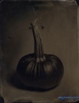 black glass ambrotype by A.E. Graves of pumpkin
