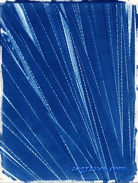 cyanotype print of a succulent plant
