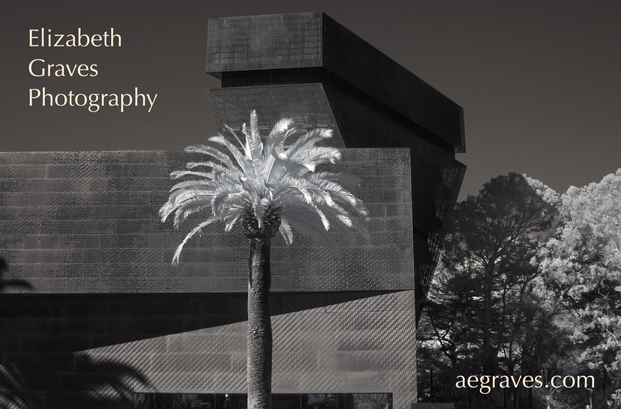 Infrared image the deYoung Museum in Golden Gate Park, San Francisco, California, by A.E. Graves
